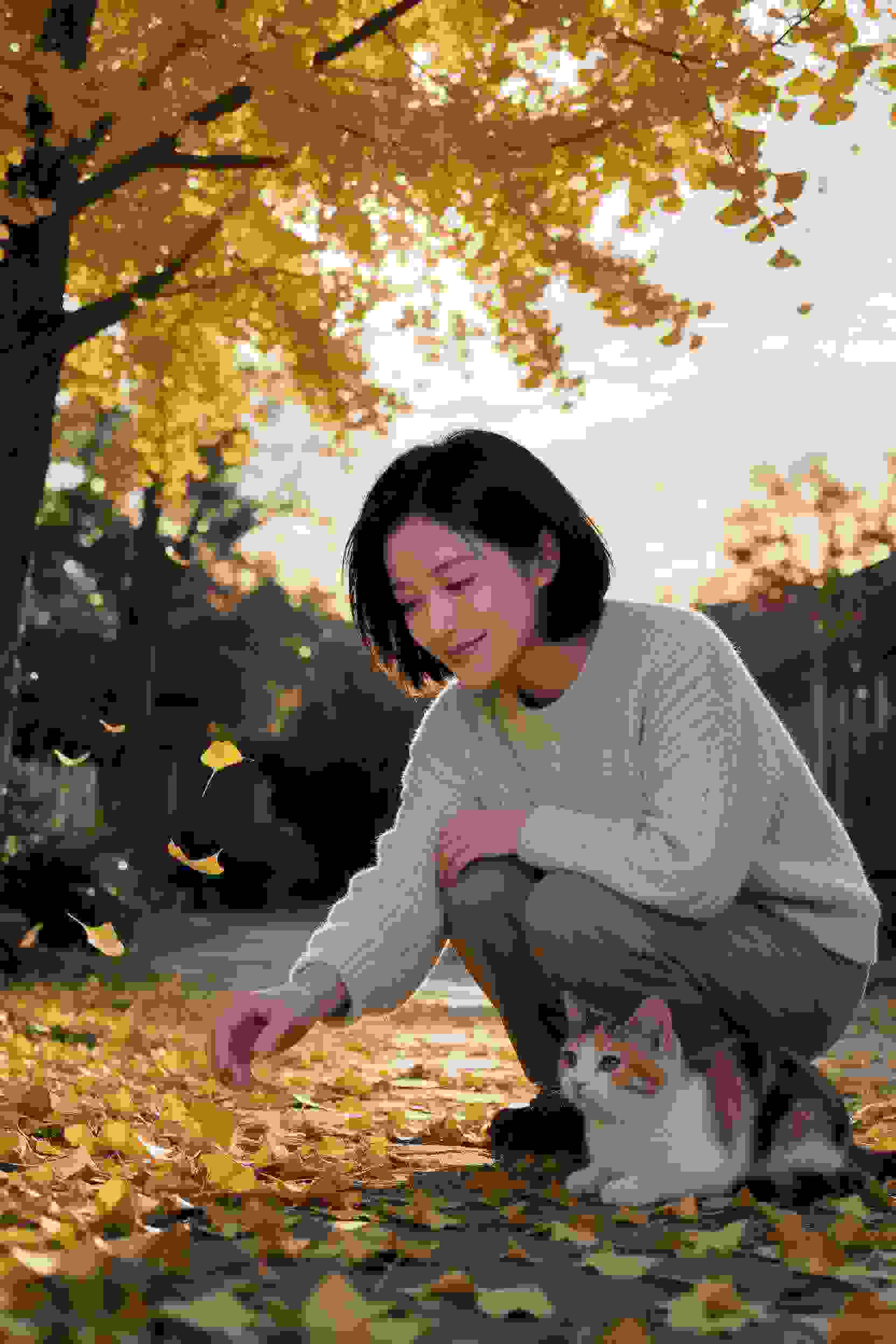 宋江与星娘